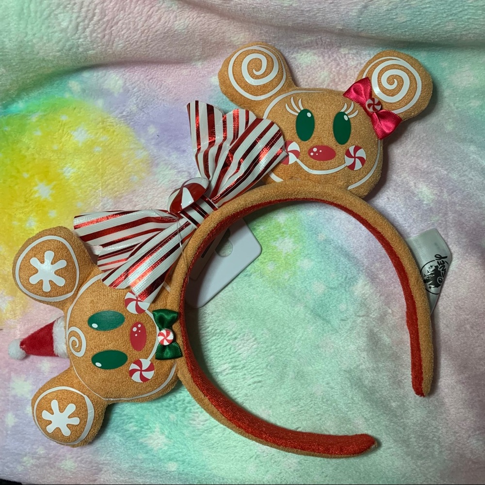 Disney Park Ears